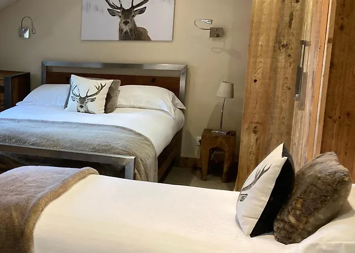 Hotel Les Cimes